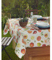 8064 Frutal